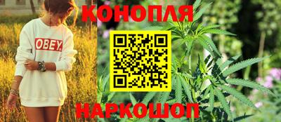 дживик Кунгур