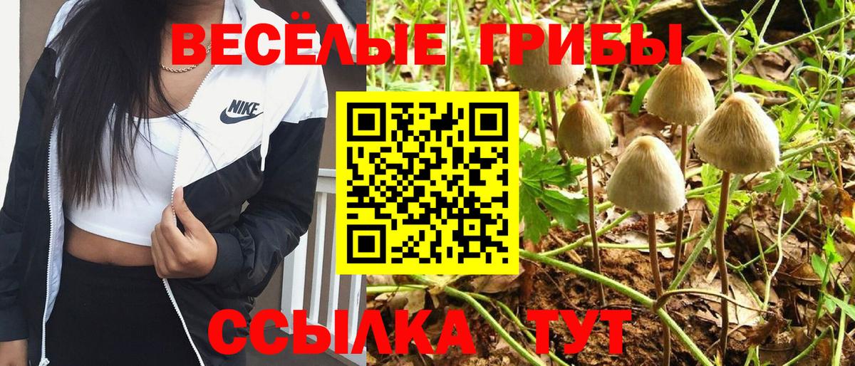 Галлюциногенные грибы мухоморы  Галлюциногенные грибы GOLDEN TEACHER  продажа наркотиков  Домодедово  Вход с VPN 