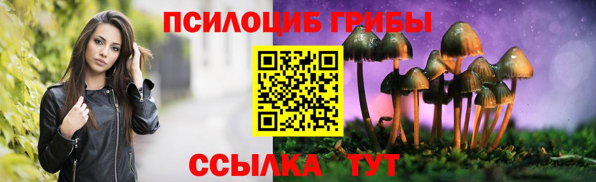 Галлюциногенные грибы Psilocybine cubensis Домодедово